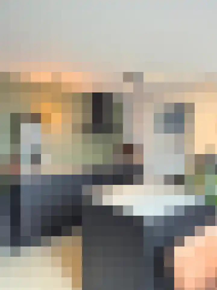 Goudmijnstraat 47 Oss thumbnail 8