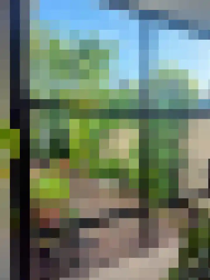 Goudmijnstraat 47 Oss thumbnail 9