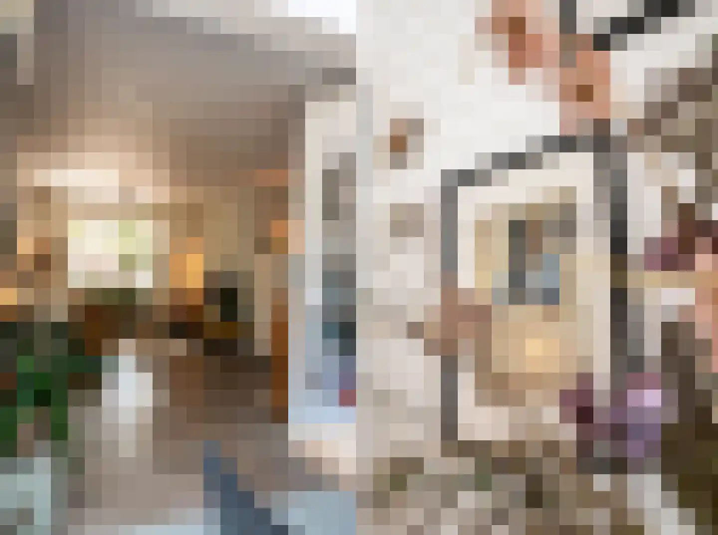 Goudmijnstraat 47 Oss thumbnail 9