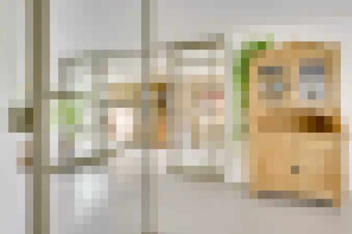 Goudmos 10 Houten thumbnail 11