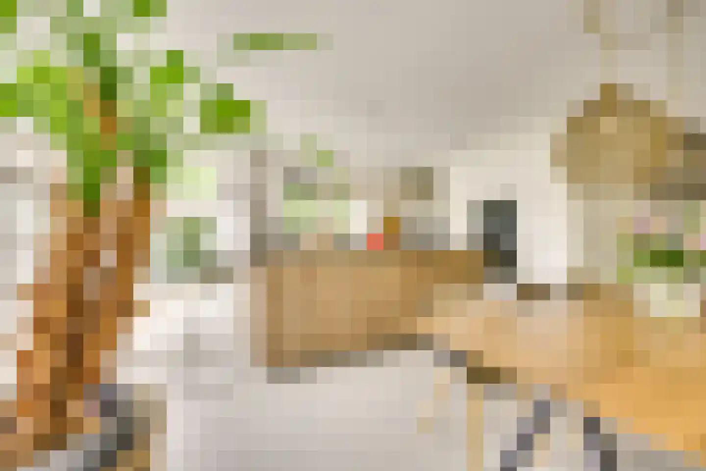 Goudmos 10 Houten thumbnail 16