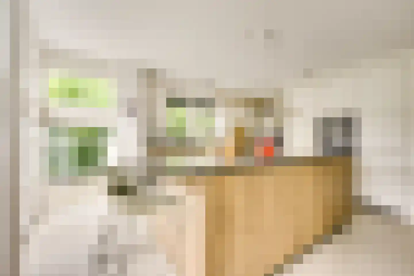 Goudmos 10 Houten thumbnail 19