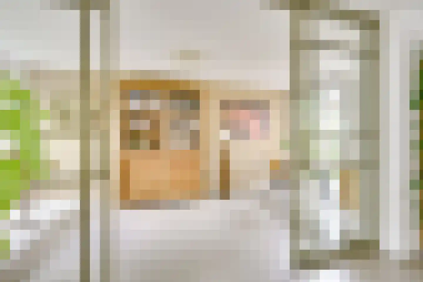 Goudmos 10 Houten thumbnail 21