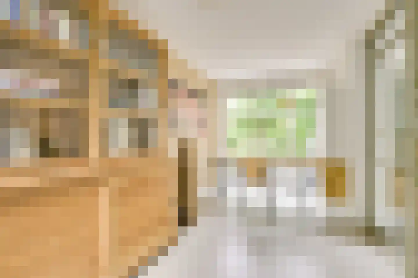 Goudmos 10 Houten thumbnail 22