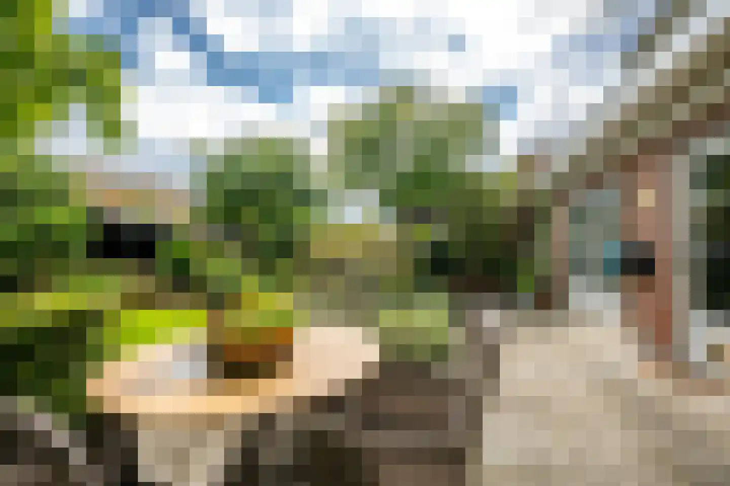 Goudmos 10 Houten thumbnail 31
