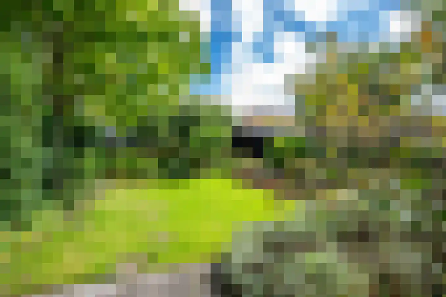 Goudmos 10 Houten thumbnail 32