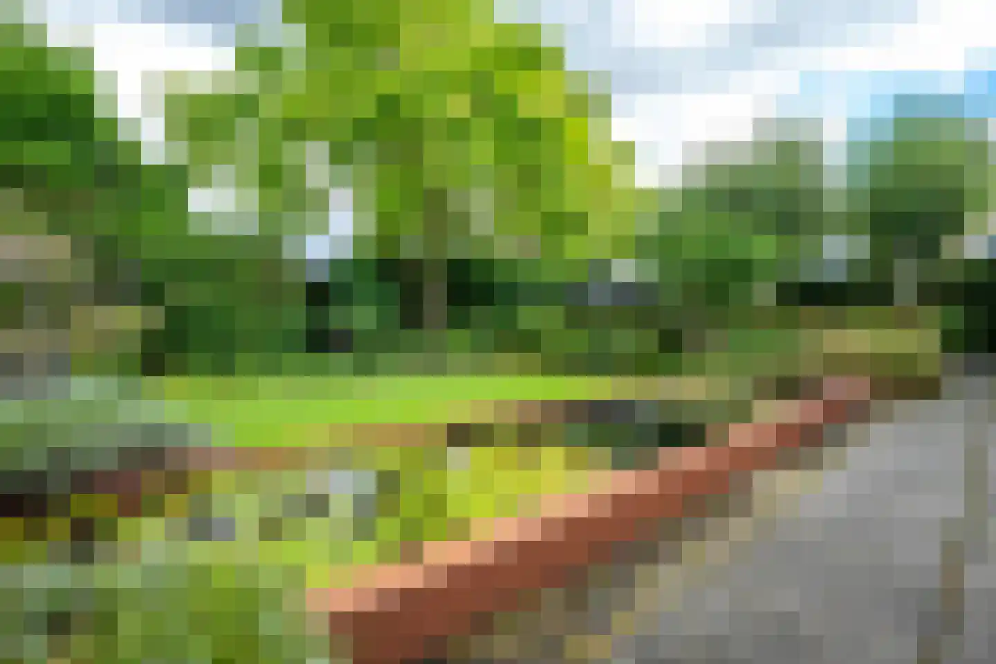 Goudmos 10 Houten thumbnail 33