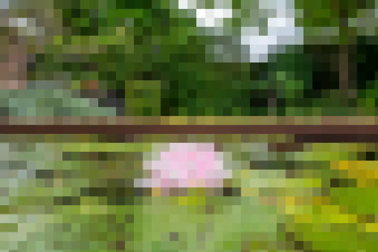 Goudmos 10 Houten thumbnail 34