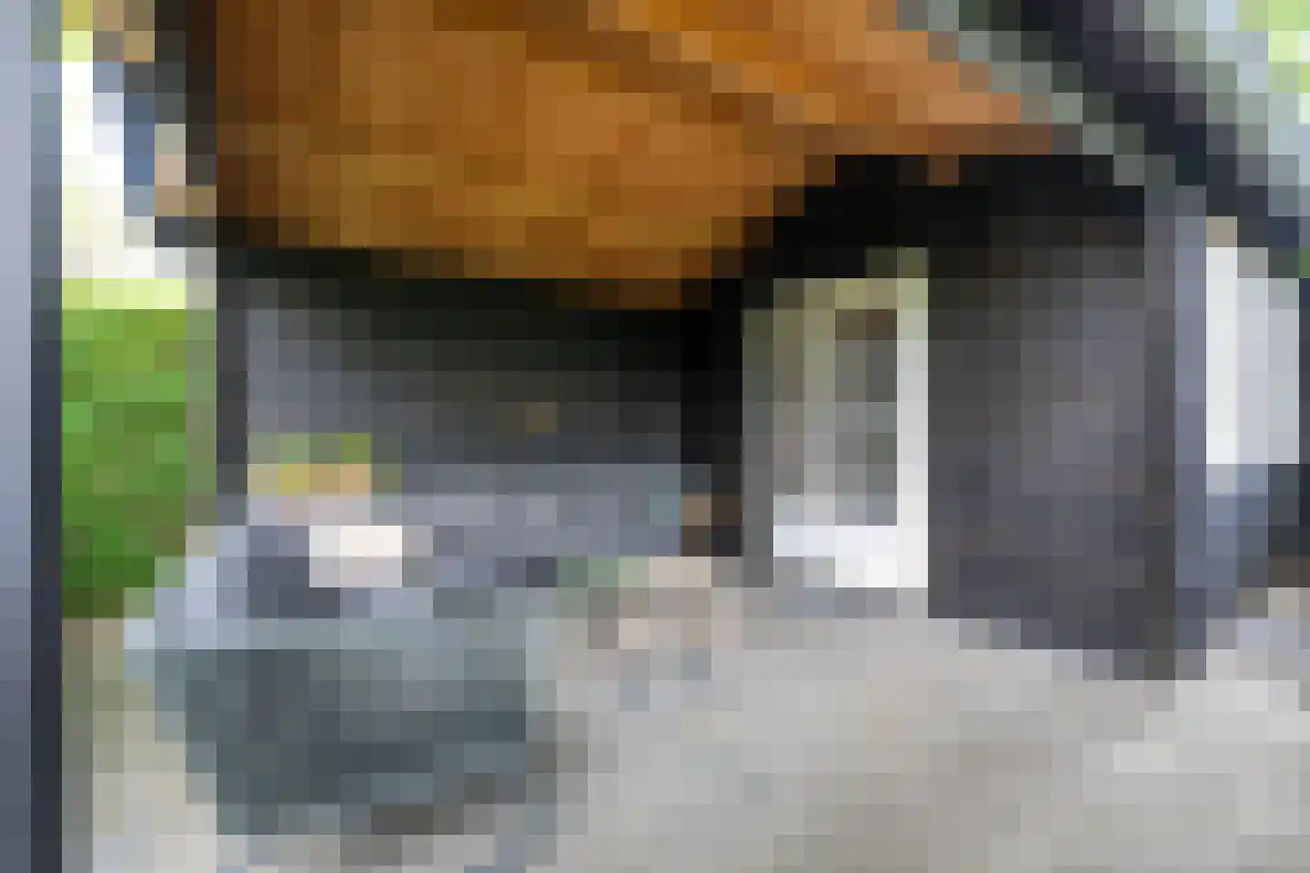 Goudmos 10 Houten thumbnail 35