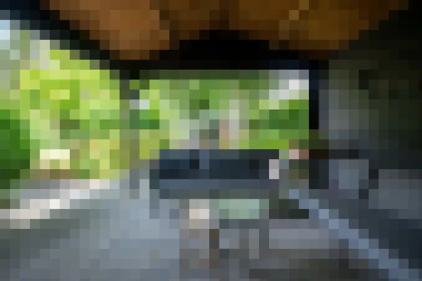 Goudmos 10 Houten thumbnail 36