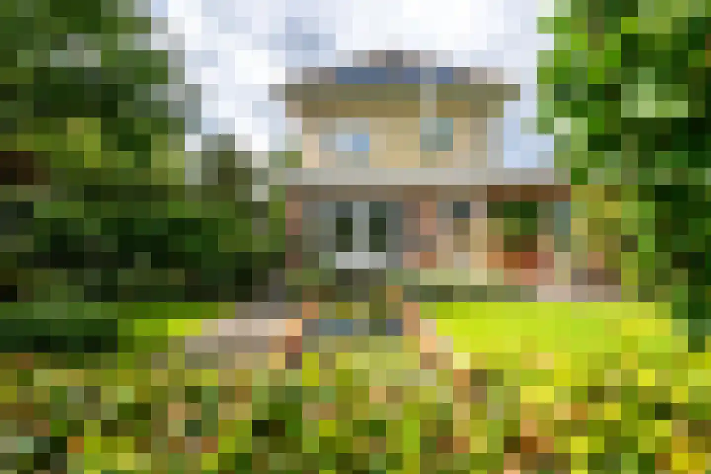 Goudmos 10 Houten thumbnail 38