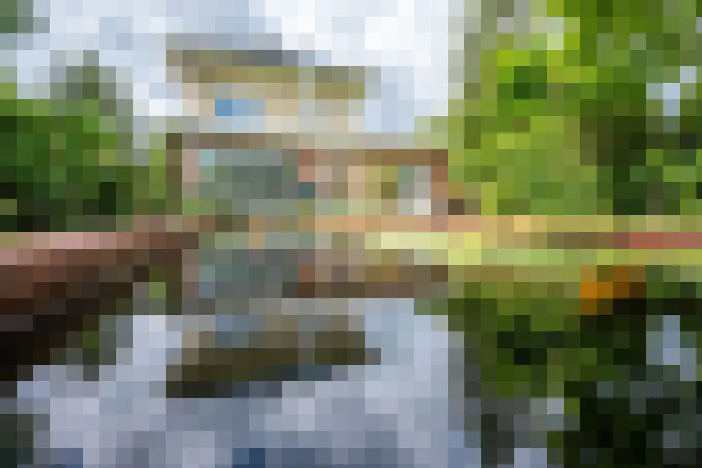Goudmos 10 Houten thumbnail 42