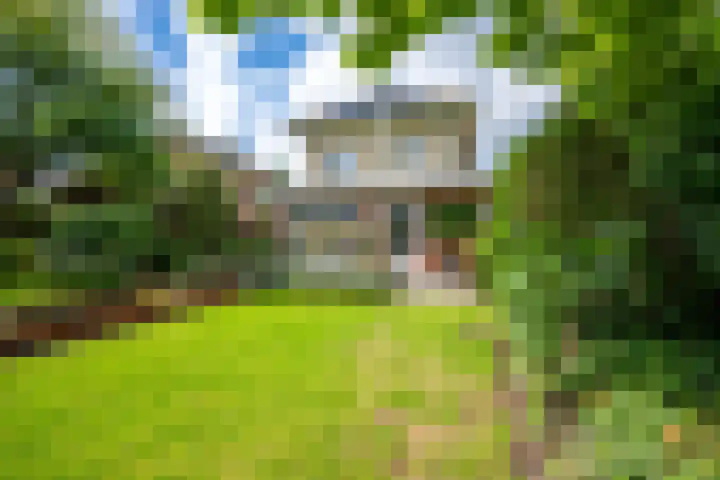 Goudmos 10 Houten thumbnail 44