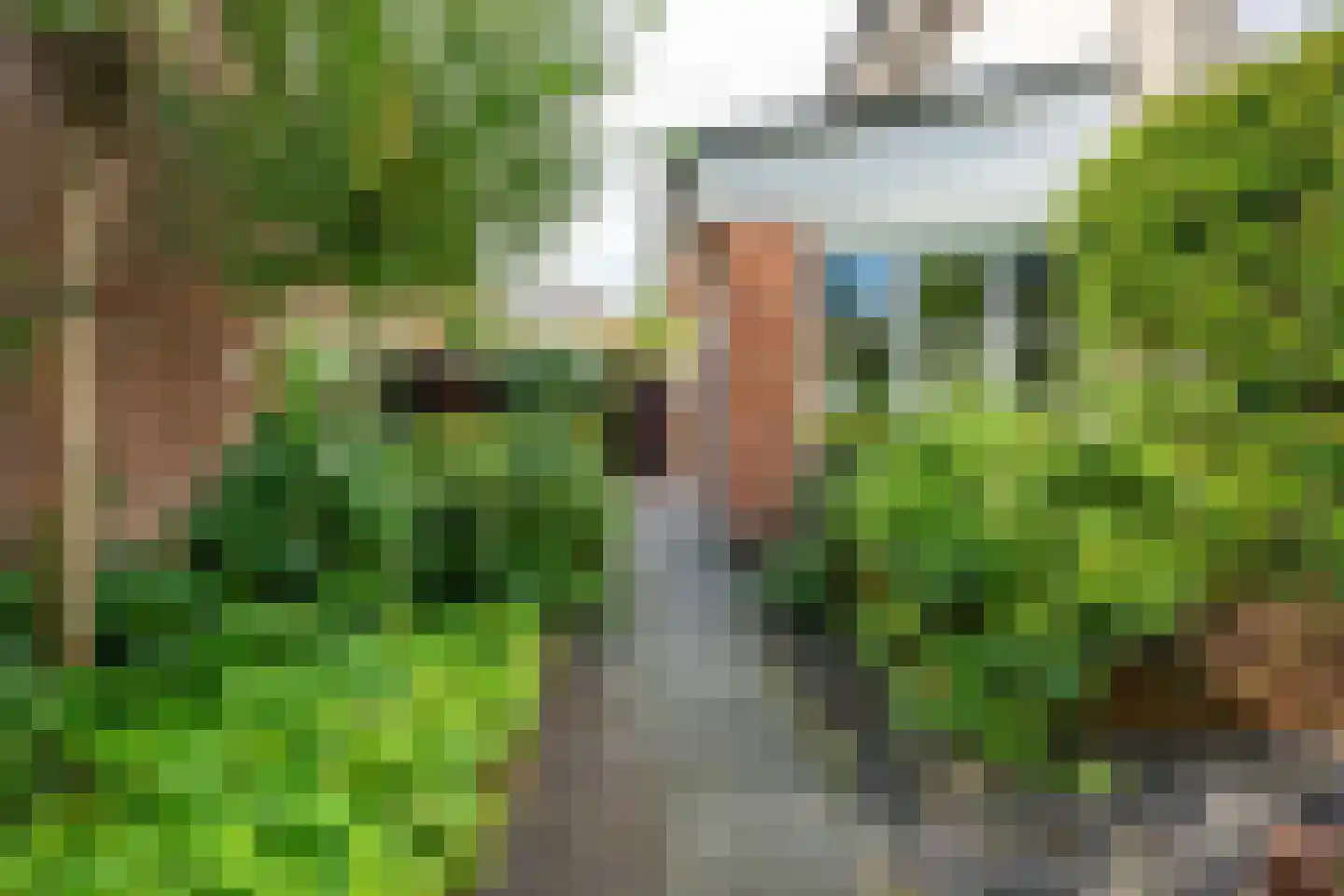Goudmos 10 Houten thumbnail 45