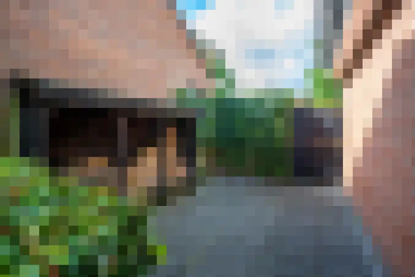Goudmos 10 Houten thumbnail 46