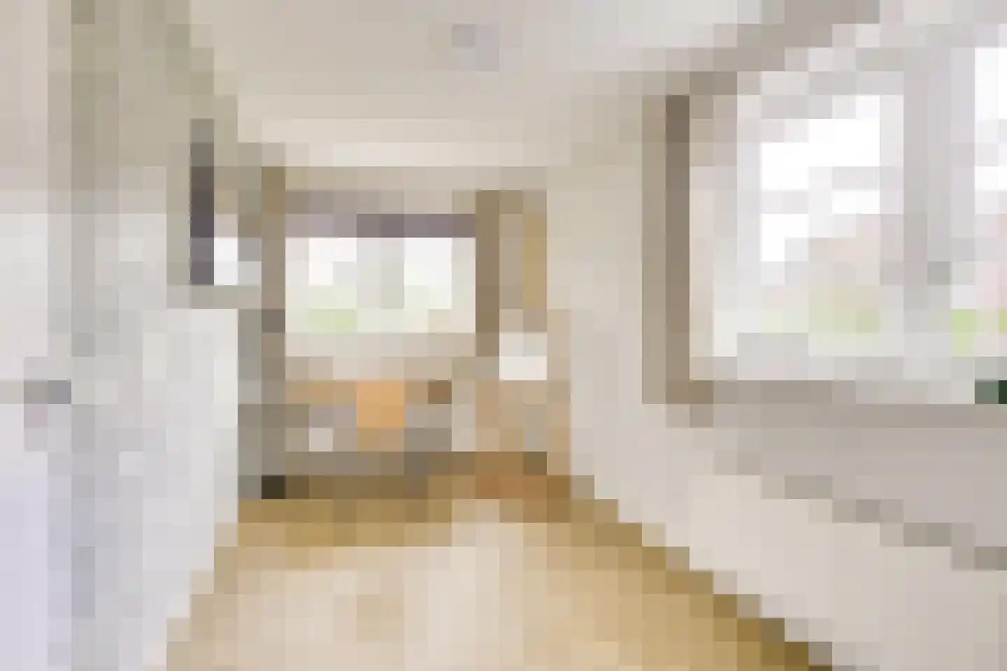 Goudmos 10 Houten thumbnail 56