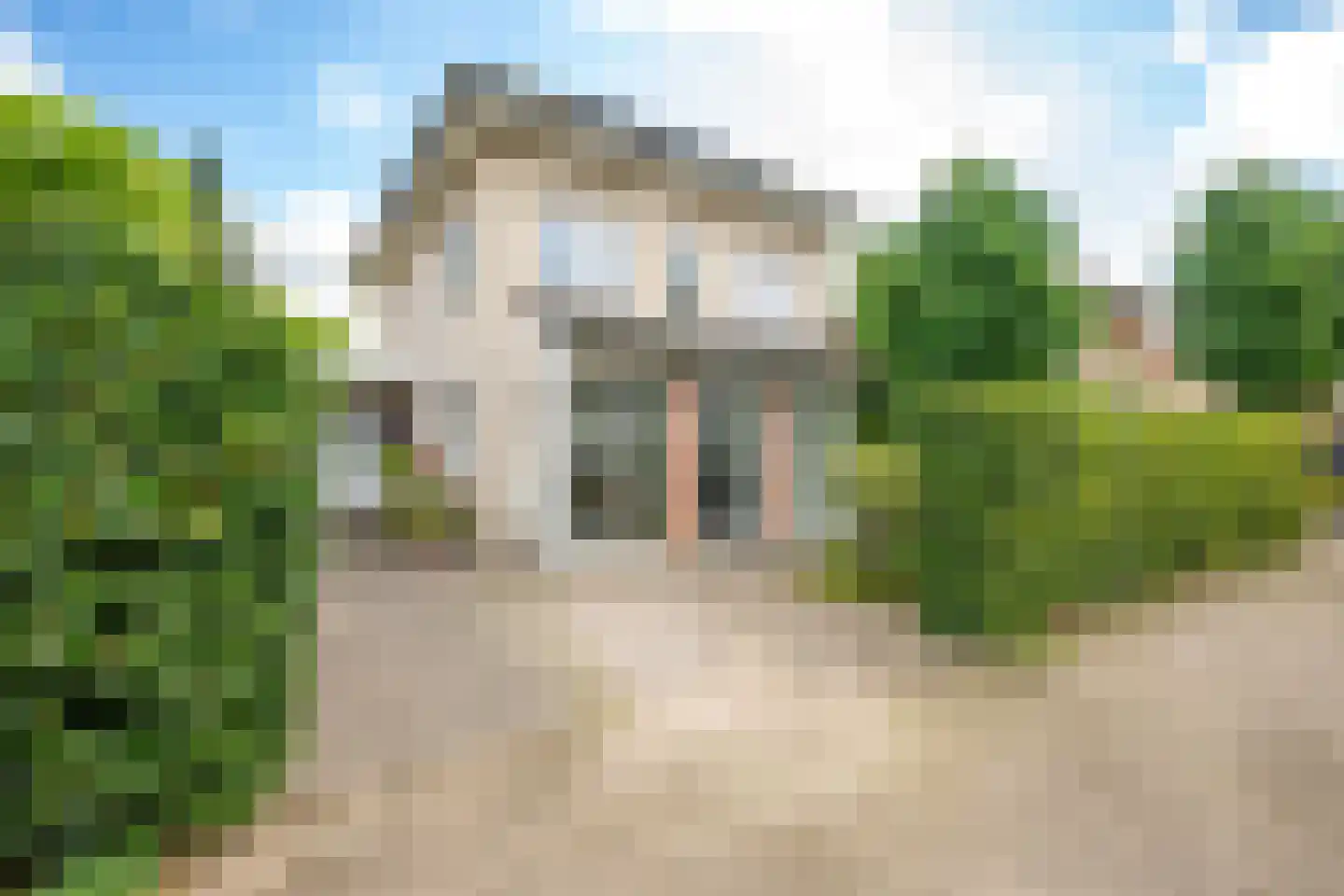Goudmos 10 Houten thumbnail 6