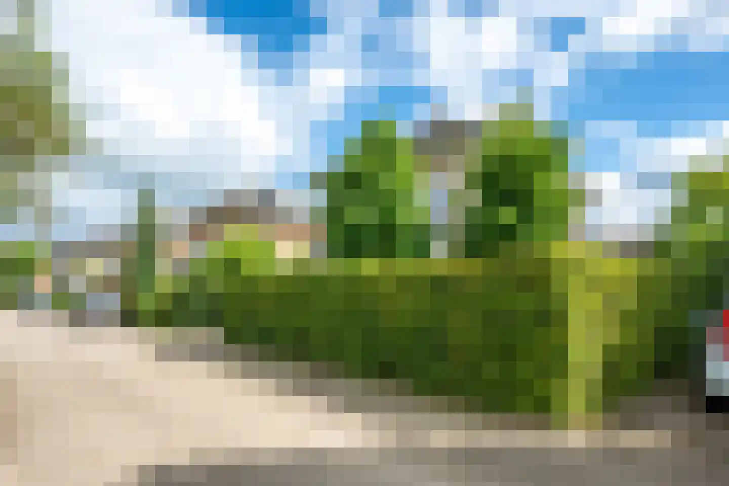 Goudmos 10 Houten thumbnail 67