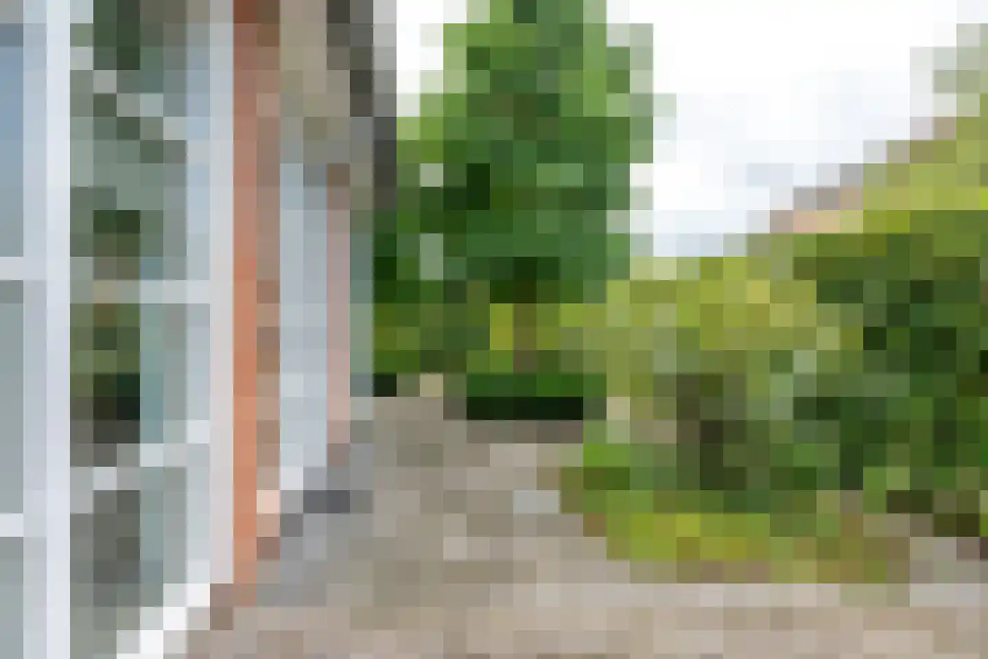 Goudmos 10 Houten thumbnail 68