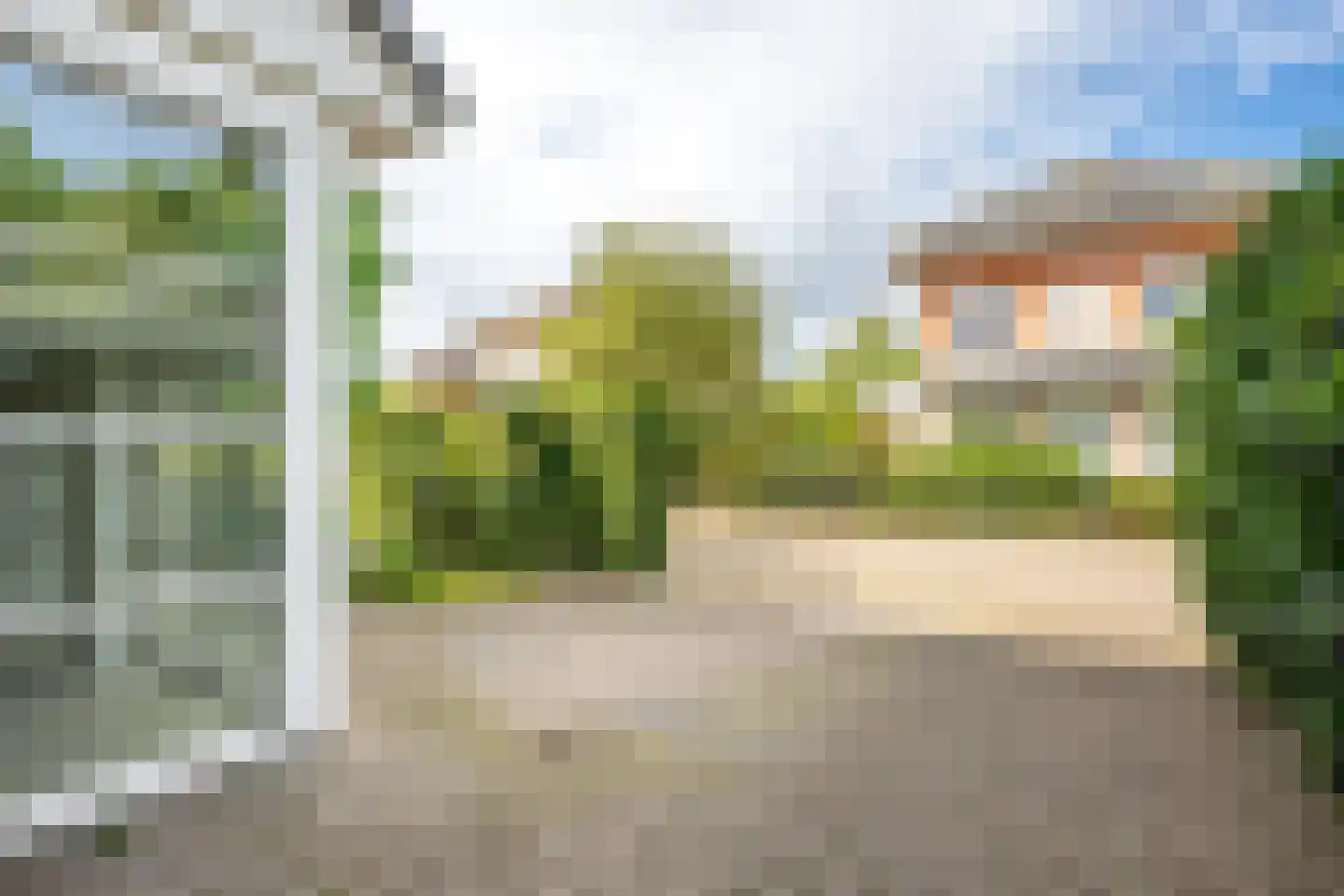 Goudmos 10 Houten thumbnail 8