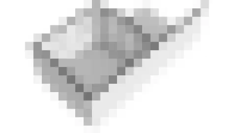 Goudmos 10 Houten thumbnail 84