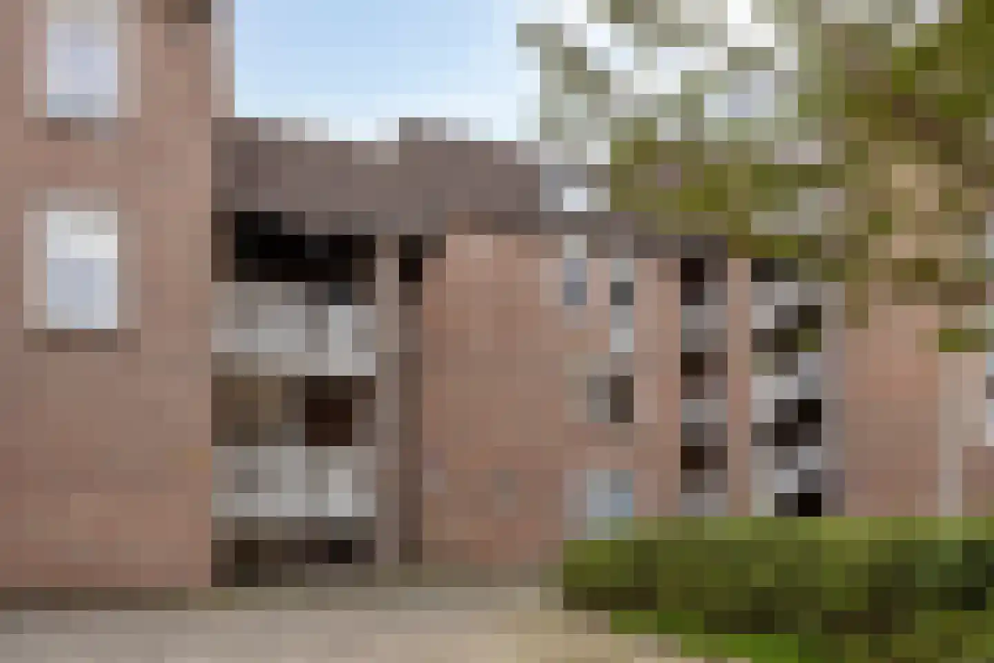 Goudmos 114 Nieuwerkerk aan den IJssel thumbnail 18