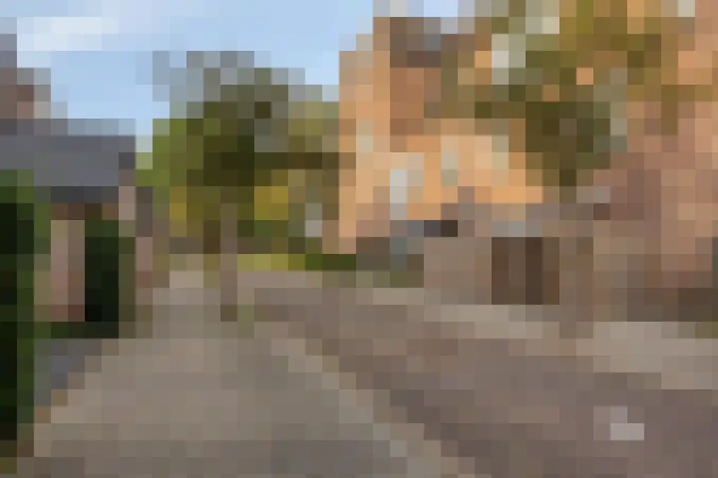 Goudmos 114 Nieuwerkerk aan den IJssel thumbnail 19