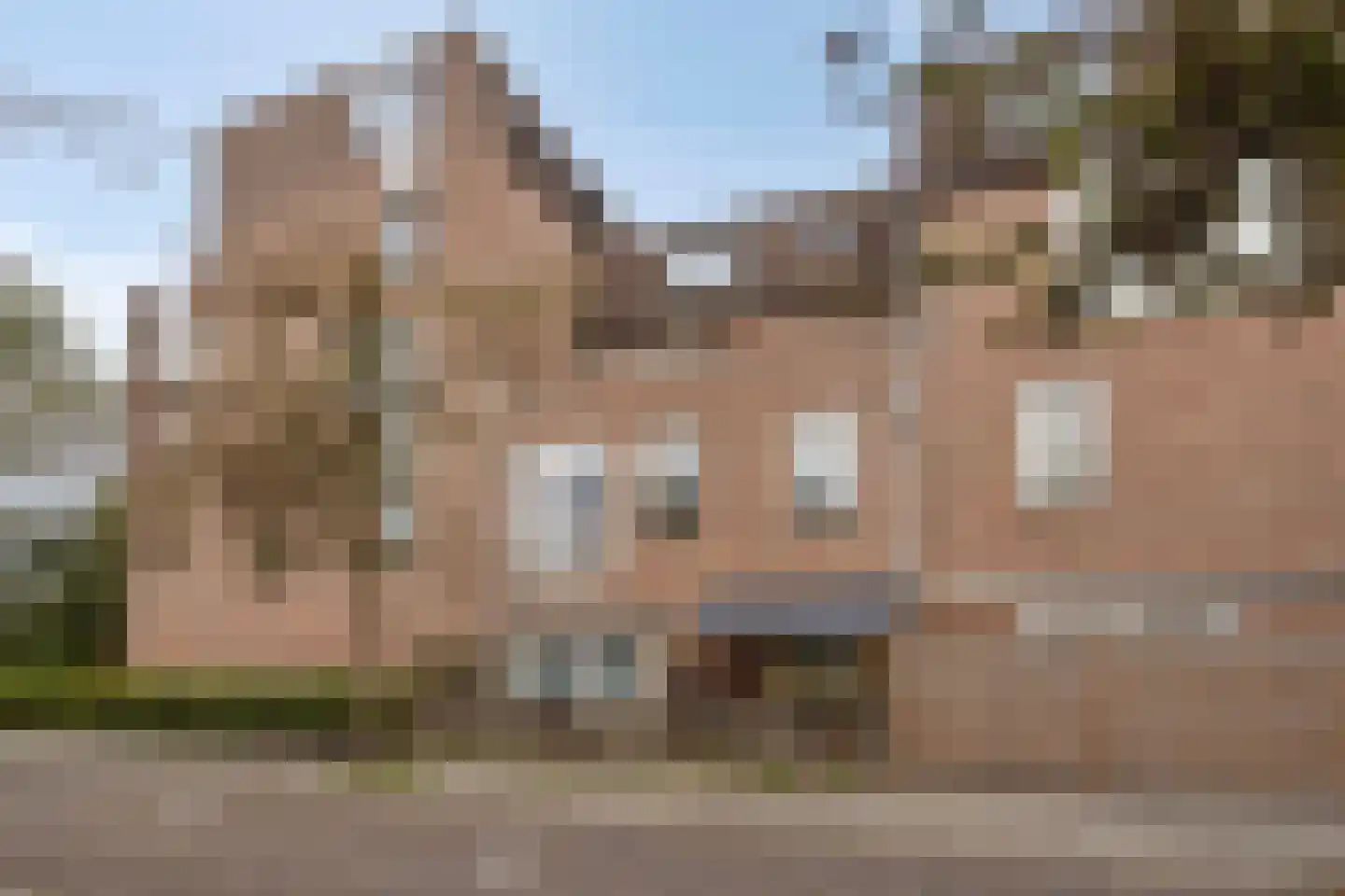 Goudmos 114 Nieuwerkerk aan den IJssel foto 2