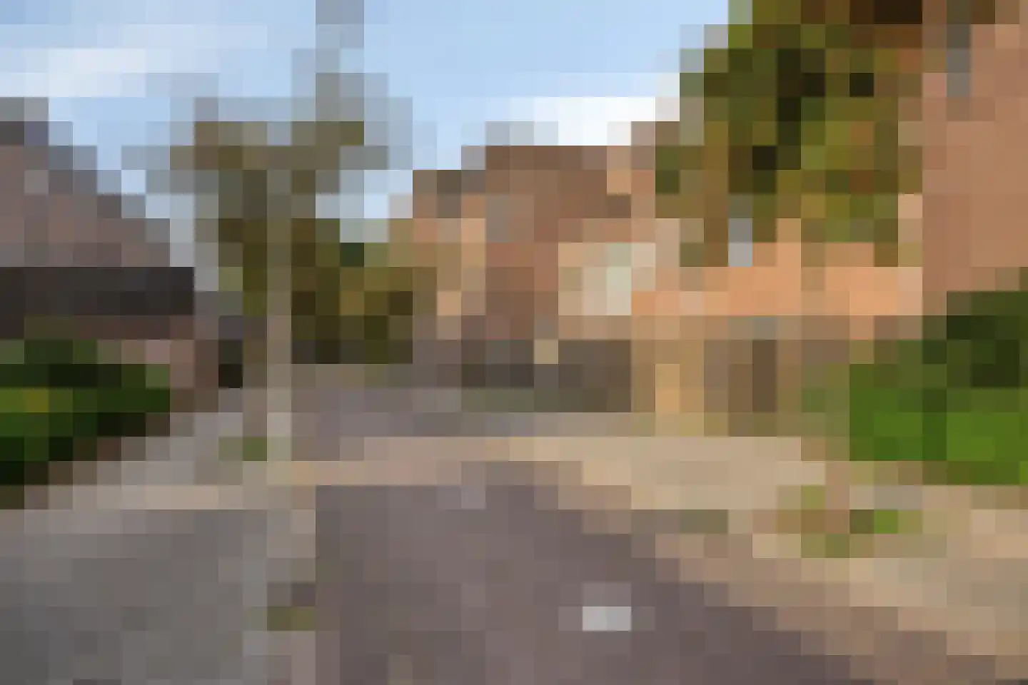 Goudmos 114 Nieuwerkerk aan den IJssel thumbnail 20