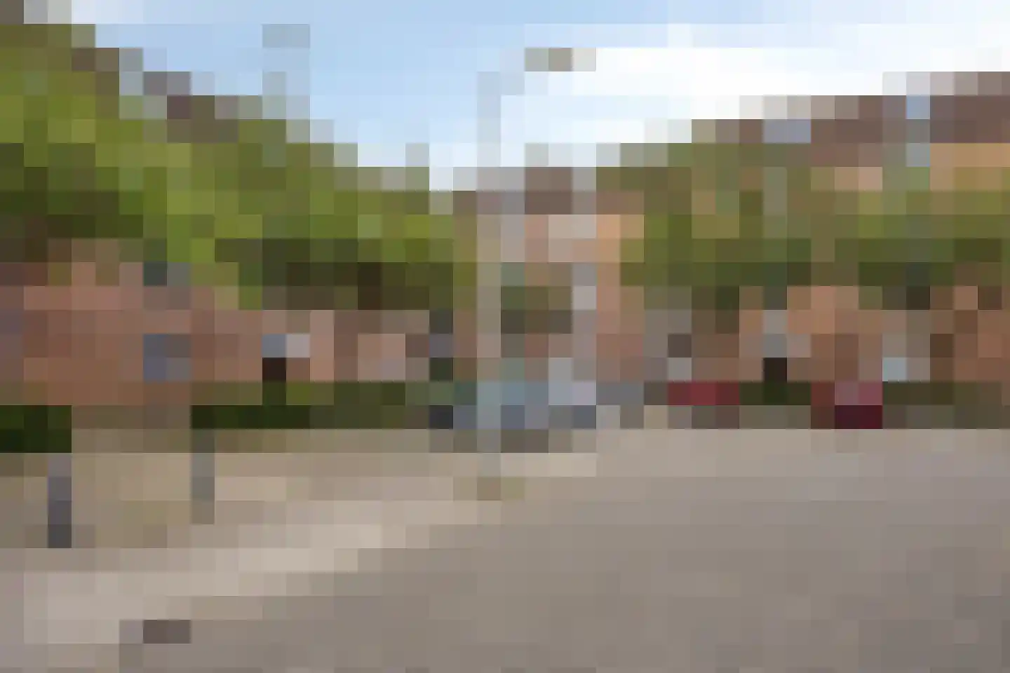 Goudmos 114 Nieuwerkerk aan den IJssel thumbnail 22