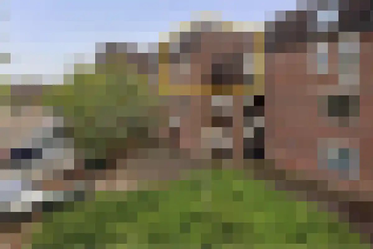 Goudmos 122 in Nieuwerkerk aan den IJssel
