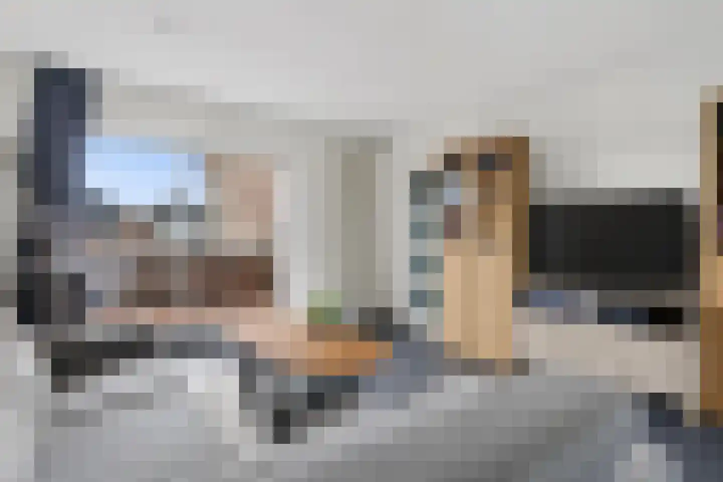 Goudmos 122 Nieuwerkerk aan den IJssel thumbnail 11