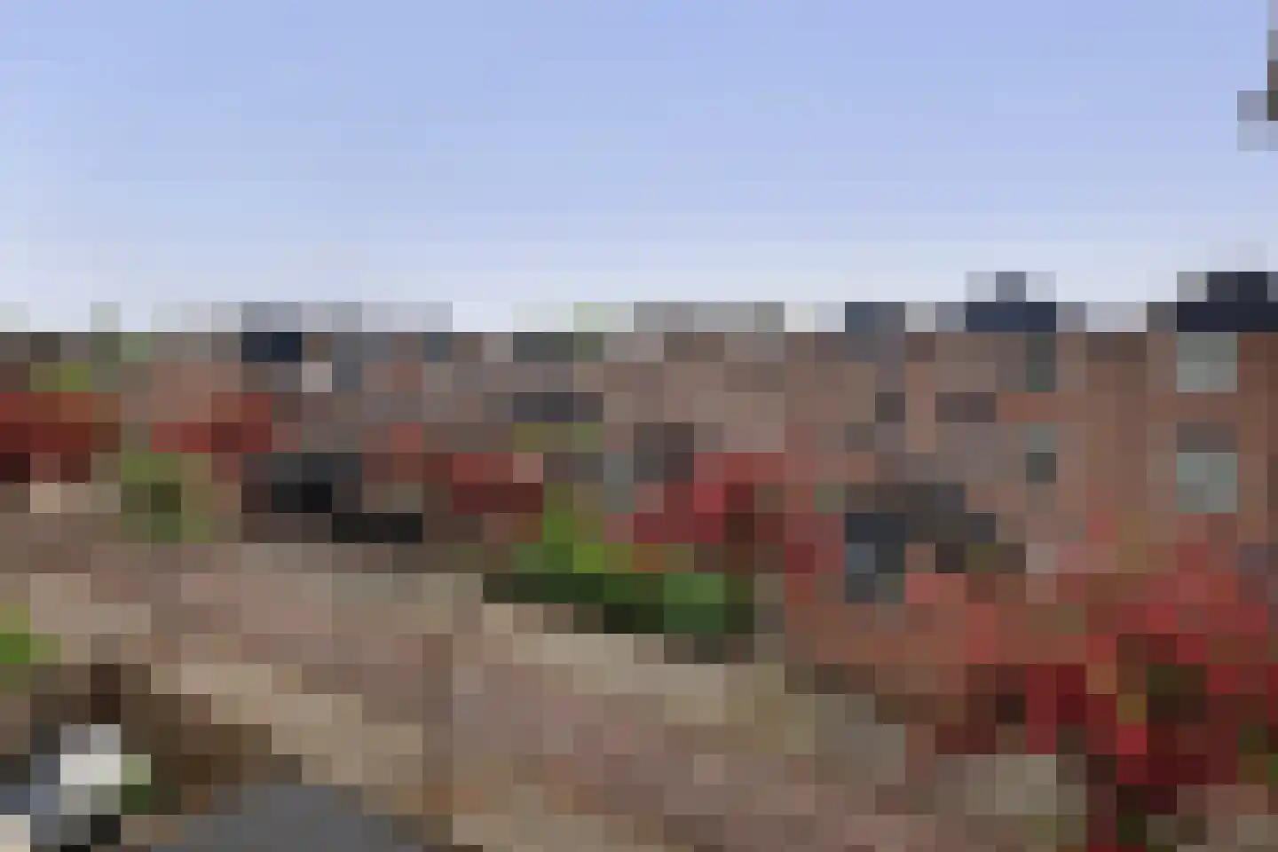 Goudmos 122 Nieuwerkerk aan den IJssel thumbnail 16