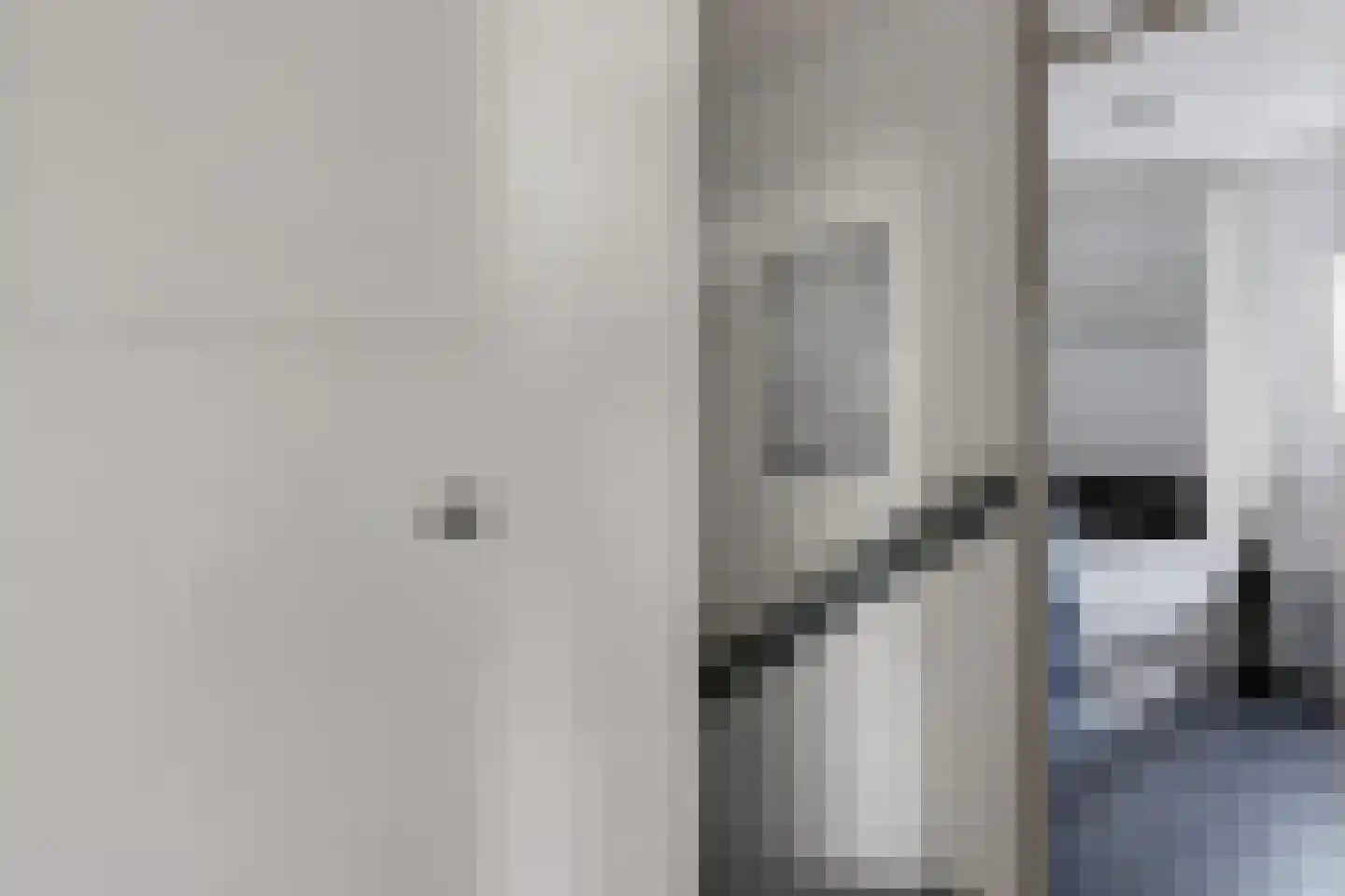 Goudmos 122 Nieuwerkerk aan den IJssel thumbnail 19