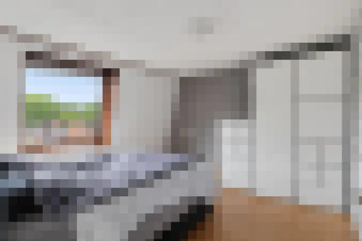 Goudmos 122 Nieuwerkerk aan den IJssel thumbnail 20
