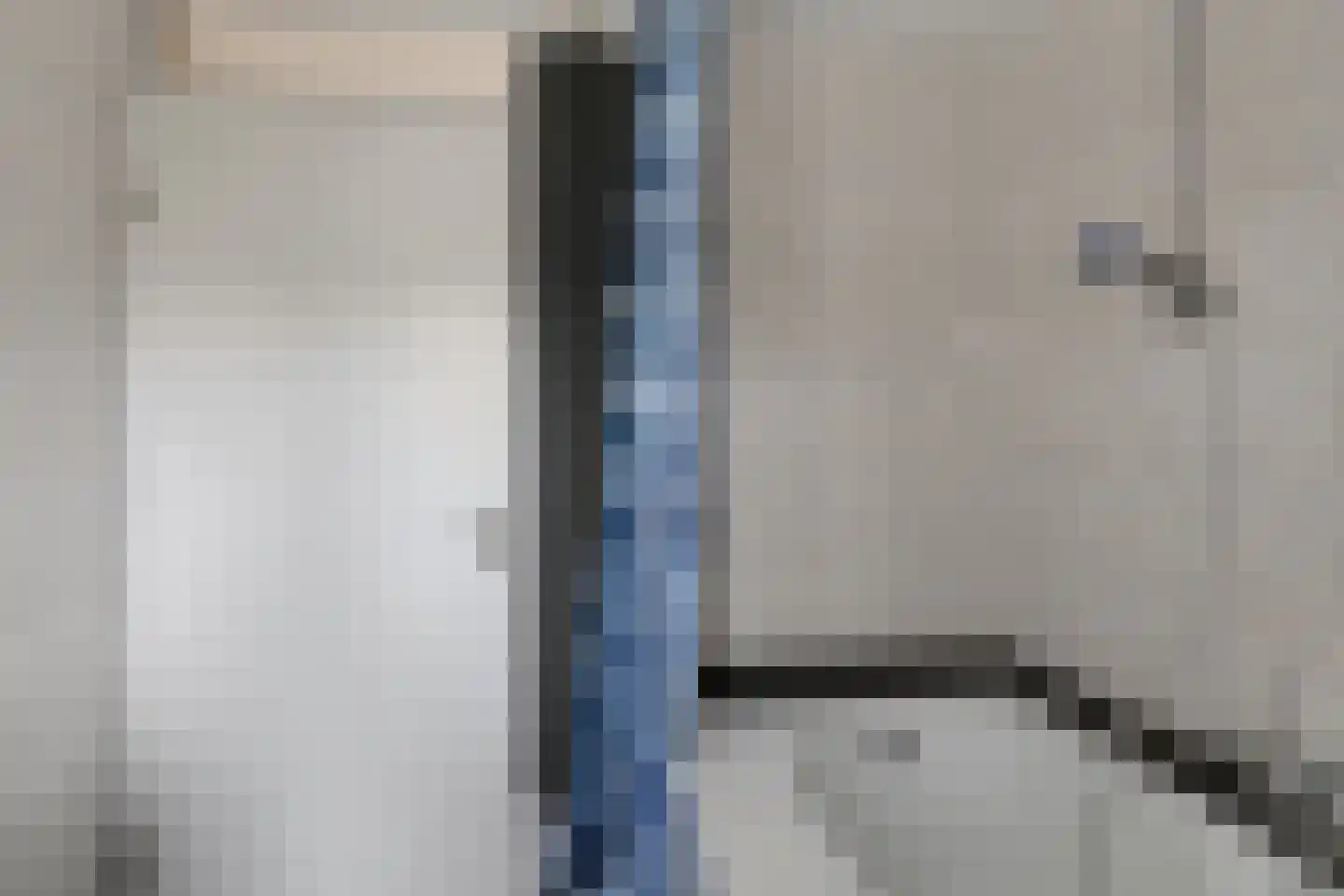 Goudmos 122 Nieuwerkerk aan den IJssel thumbnail 24