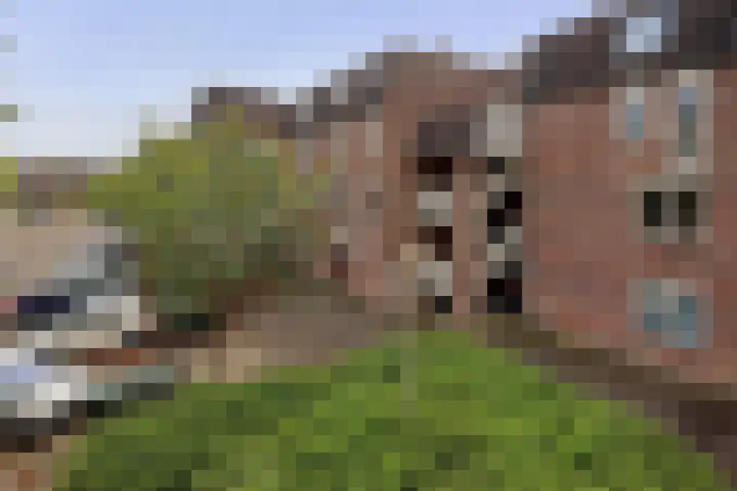 Goudmos 122 Nieuwerkerk aan den IJssel thumbnail 26