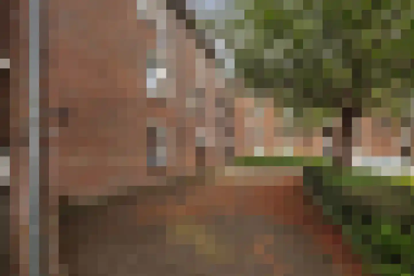 Goudmos 122 Nieuwerkerk aan den IJssel thumbnail 27