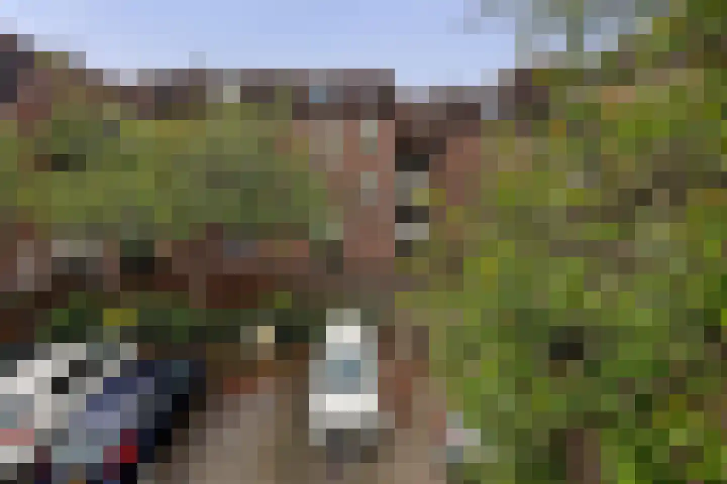 Goudmos 122 Nieuwerkerk aan den IJssel thumbnail 29