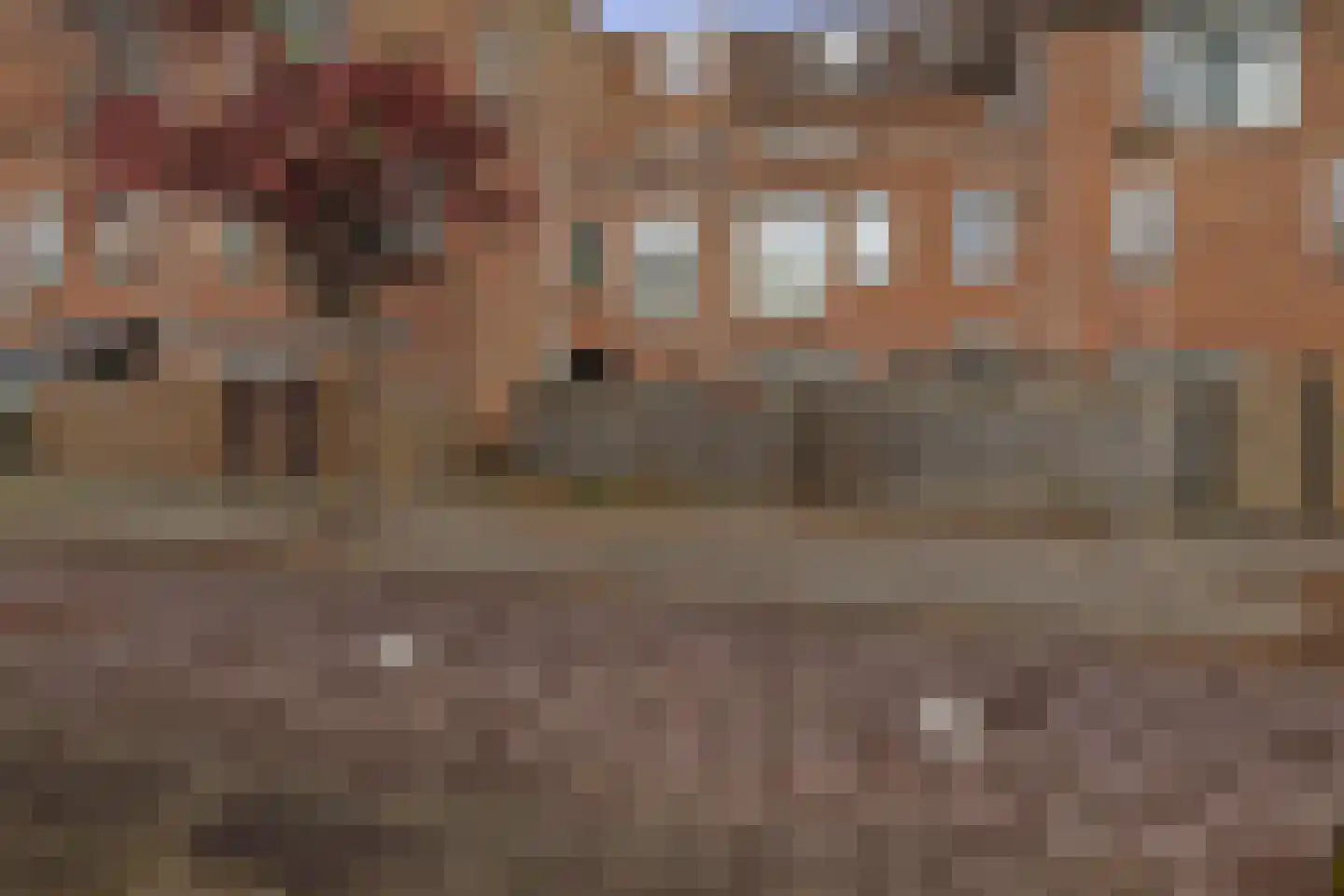 Goudmos 122 Nieuwerkerk aan den IJssel thumbnail 30