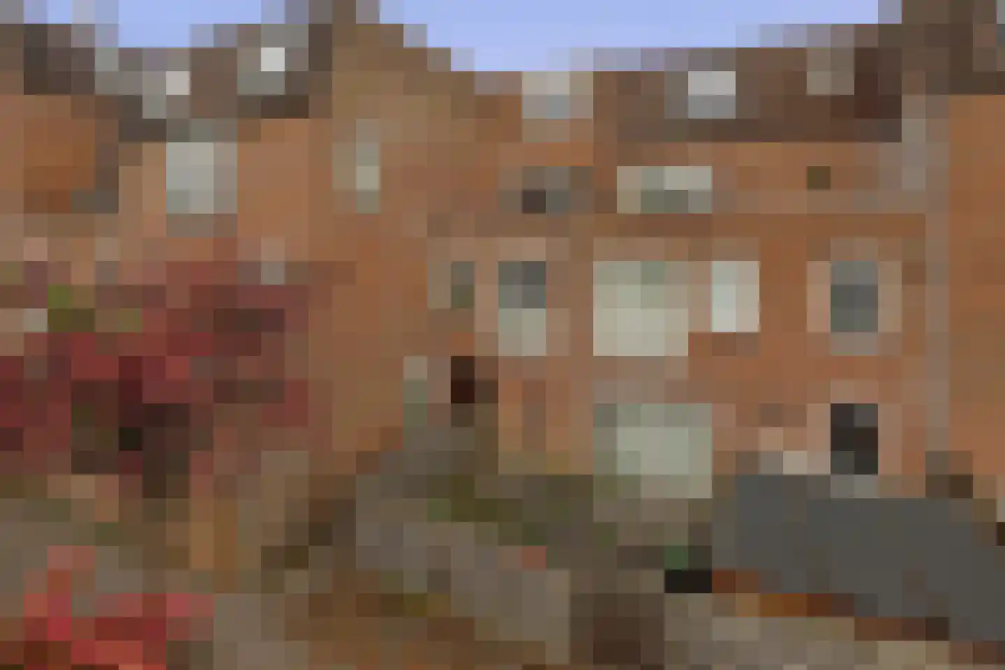 Goudmos 122 Nieuwerkerk aan den IJssel thumbnail 31