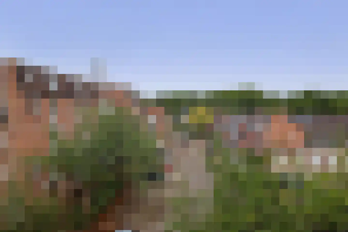 Goudmos 122 Nieuwerkerk aan den IJssel thumbnail 32