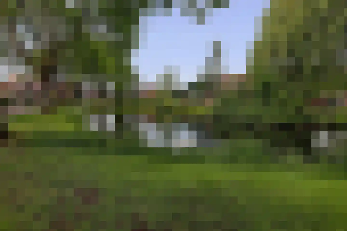 Goudmos 122 Nieuwerkerk aan den IJssel thumbnail 33