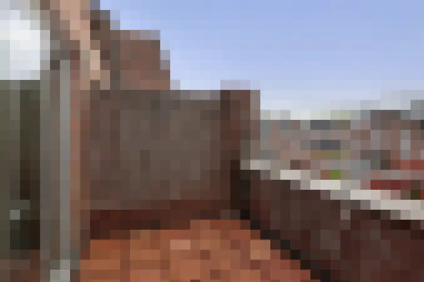 Goudmos 122 Nieuwerkerk aan den IJssel thumbnail 5