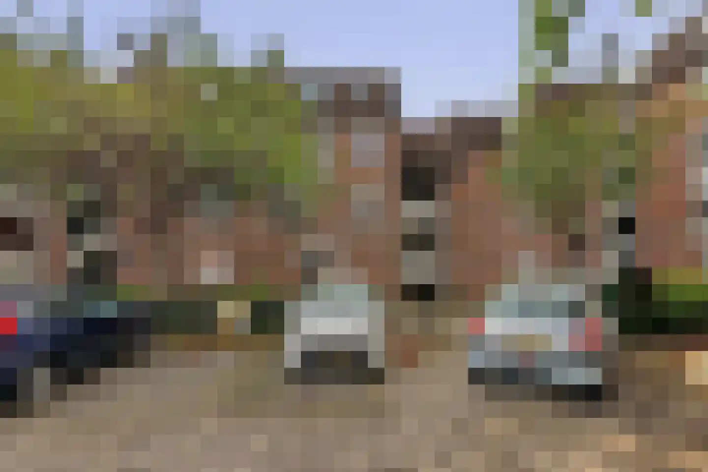 Goudmos 122 Nieuwerkerk aan den IJssel thumbnail 6