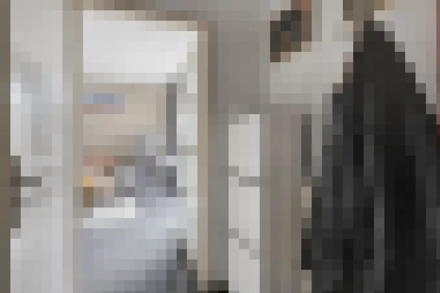 Goudmos 122 Nieuwerkerk aan den IJssel thumbnail 9