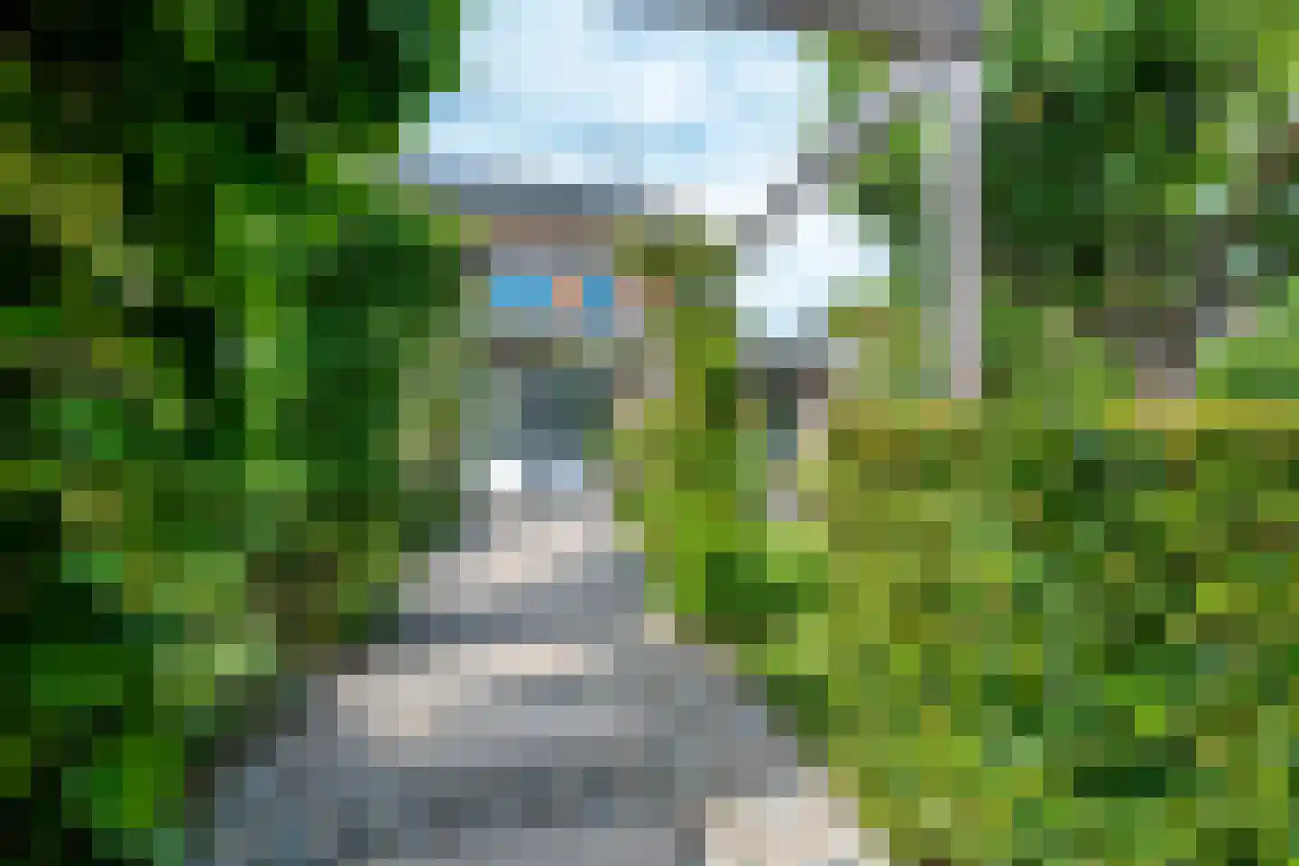 Goudmos 30 Houten thumbnail 22