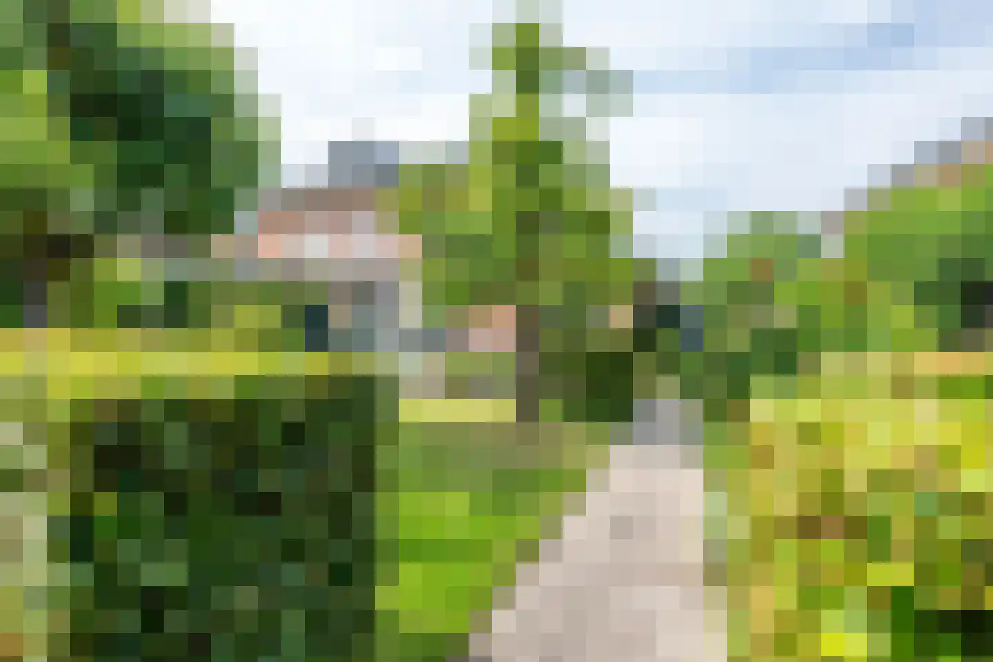 Goudmos 30 Houten thumbnail 23