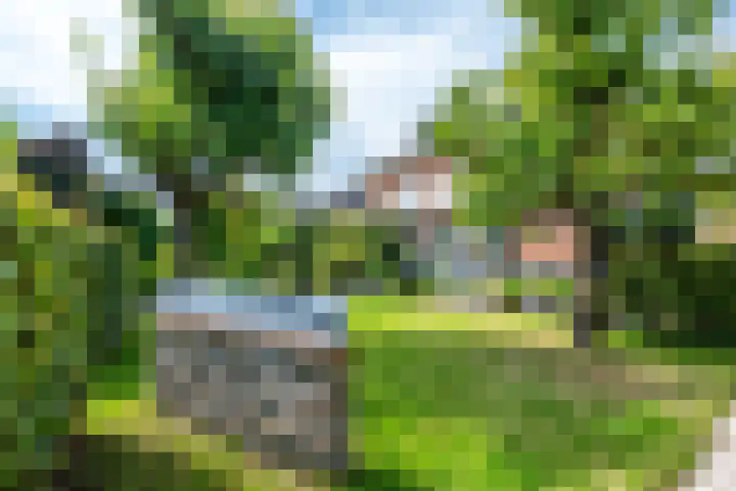Goudmos 30 Houten thumbnail 24
