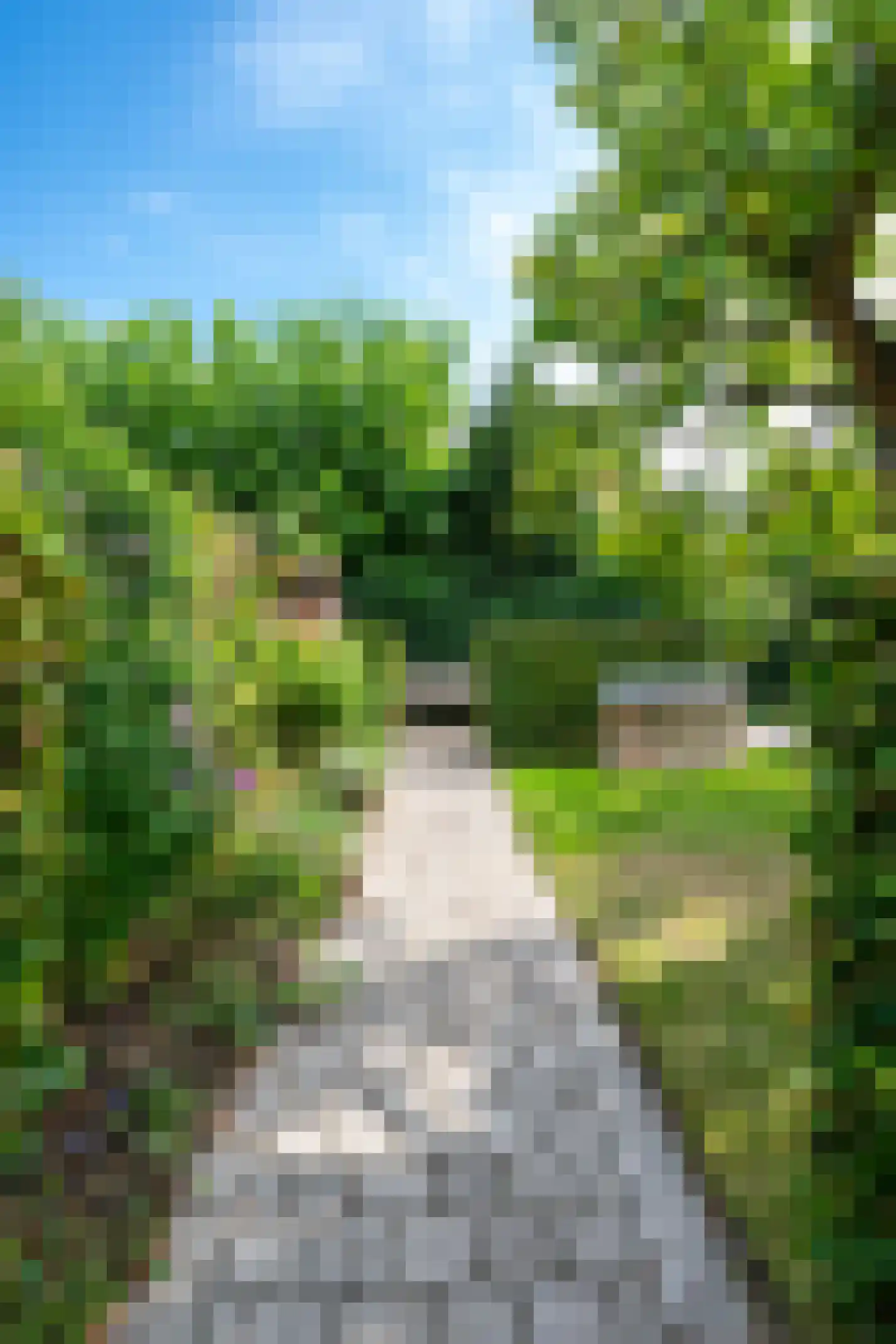Goudmos 30 Houten thumbnail 25